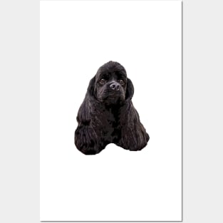 American Cocker Spaniel Black Posters and Art